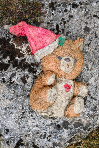 istock Lost abandoned old dirty teddy bear on a mossy rock in nature. 1432902644