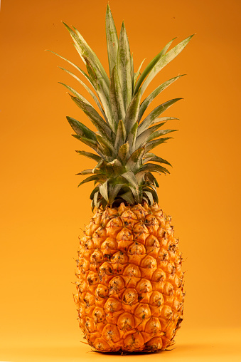 Pineapple slice on yellow background.