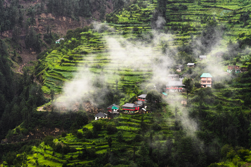Beautiful Rice Terrace in Himachal Pradesh, India