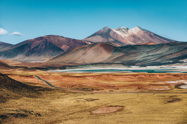 istock Laguna Tuyajto at Atacama desert 1432909219