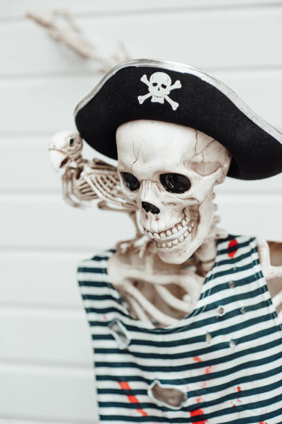 istock Halloween skeleton character in pirate costume with cocked hat black 1432909796