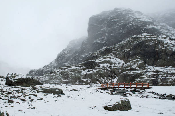istock Snow and Rocks. Winter Mountain Landscape in Valmalenco 1432910158