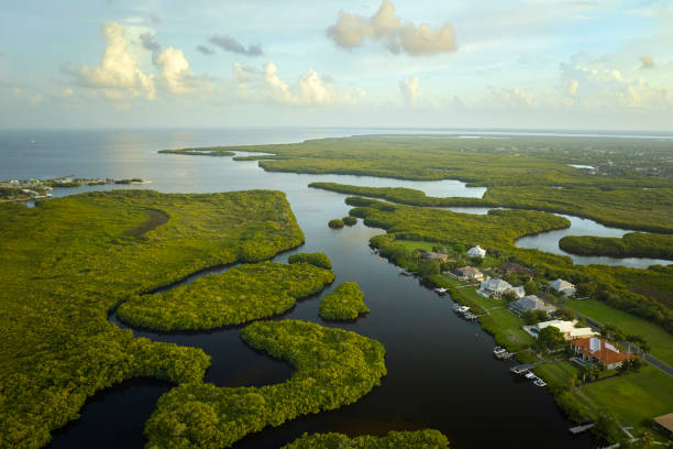 vue aérienne de maisons privées rurales dans des banlieues éloignées situées près des zones humides de la faune de floride avec une végétation verte sur le rivage de la baie de la mer. concept vivre près de la nature - key house house key green photos et images de collection