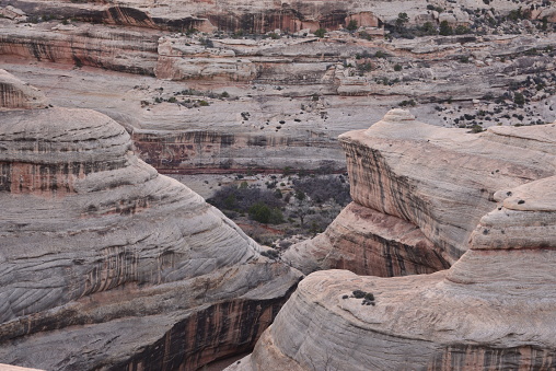 Photo Taken In Natural Bridges National Monument, Utah