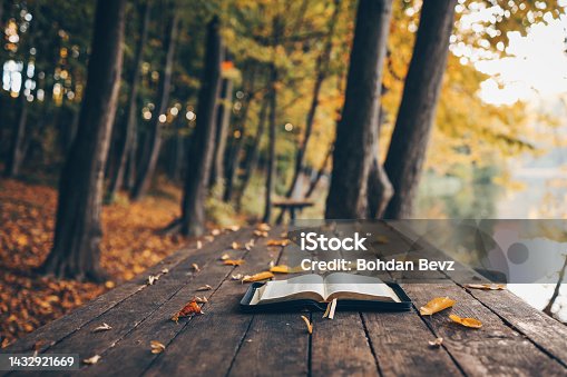 istock Open bible on a wooden table in the forest, morning worship and prayer 1432921669