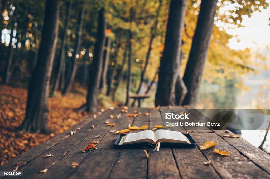 Open bible on a wooden table in the forest, morning worship and prayer Open bible on a wooden table in the forest, morning worship and prayer. Autumn Stock Photo