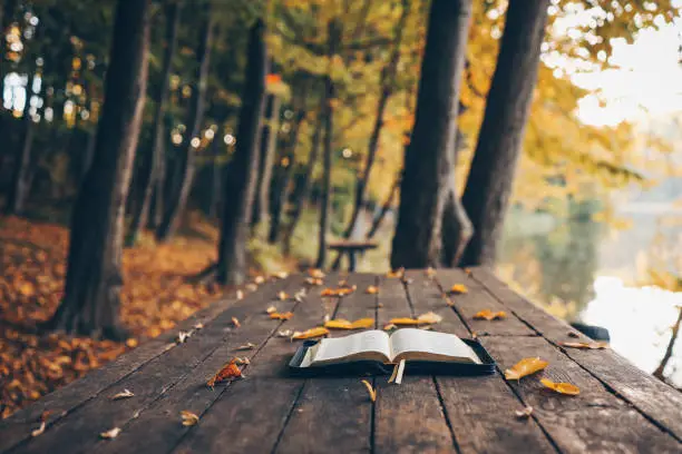 Photo of Open bible on a wooden table in the forest, morning worship and prayer