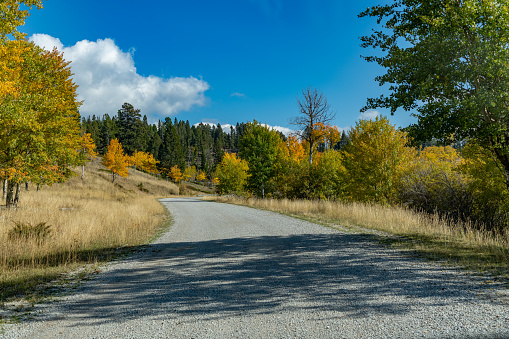 Dirt road through wilderness near White Sulfur Springs, Montana in western USA. Road encountered searching for elk.