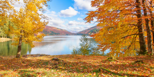 countryside scenery at the lake in autumn stock photo