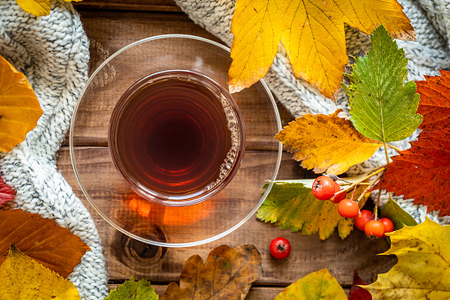 A glass of hot tea, Colorful autumn leaves, Seasonal concept, Beautiful golden autumn season