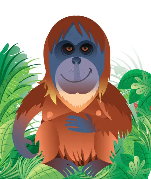 Vector illustration of Orangutan ın Forest