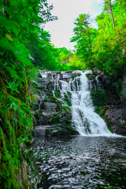 istock Side mid-height view of waterfall with pool of water at base 1432930825
