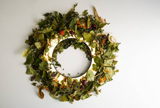 istock Stylish composition with herbal tea. Healthy herbal ingredients frame with light effects on white background 1432930856