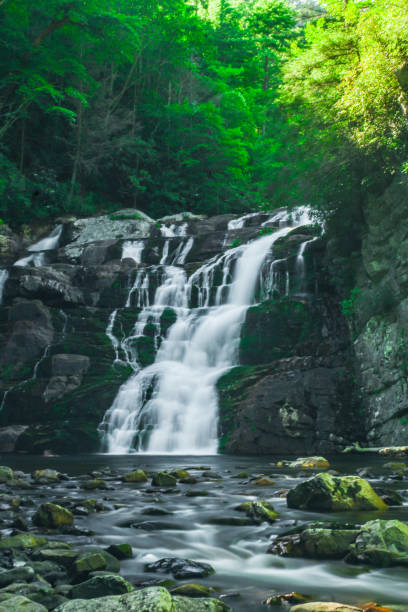 istock Low-angle view of waterfall with river at the base 1432930879