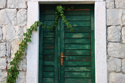 Traditional wooden green doors and stone house exterior in southern Croatia.