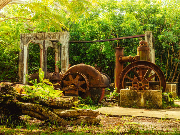 velha máquina enferrujada com belas verduras e árvores, pedreira heatherlie na reserva natural de porto rico humacao. lugar pacífico e adorável - peacefull - fotografias e filmes do acervo