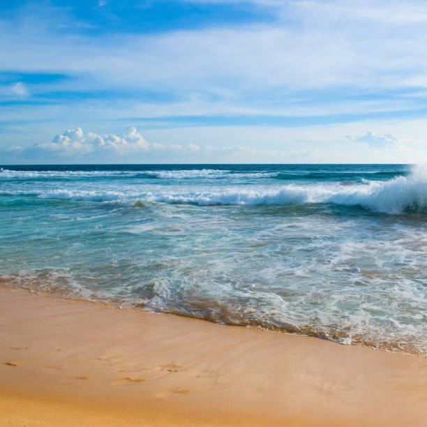 istock Tropical summer beach with sun. Vacation and travel concept. 1432932823