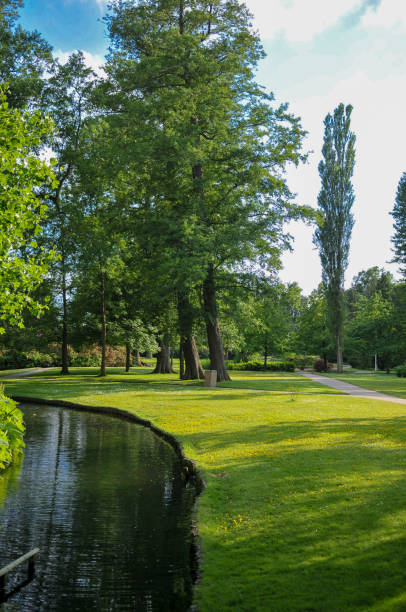 istock Panoramic view scenery of river in Denmark 1432935468