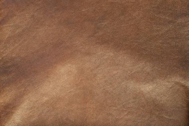 istock texture of brown raw leather background 1432941651