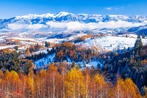 istock Sirnea- Carpathian Mountains, Romania. Winter landscape with Bucegi mount range. 1432941772