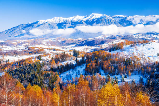 Bucegi - Carpathian Mountains, Romania. Winter landscape, Sirnea village. stock photo