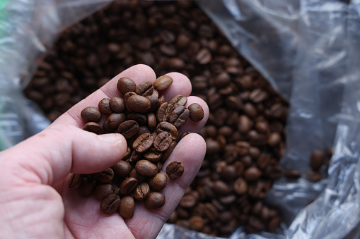 Coffee beans in the plastic bag with hand