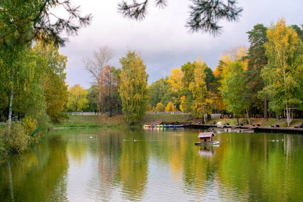 istock Autumn leaf color in Mitino landscape park 1432944073