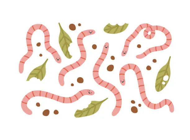 Vector illustration of Set of pear earthworms, ground, and bitten leaves.