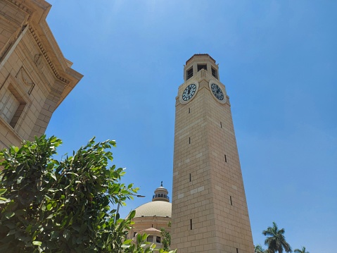 Clock Tower, Izmir, Monument, Tower, Famous Place, City Life, Palm Tree, City Life, Backgrounds