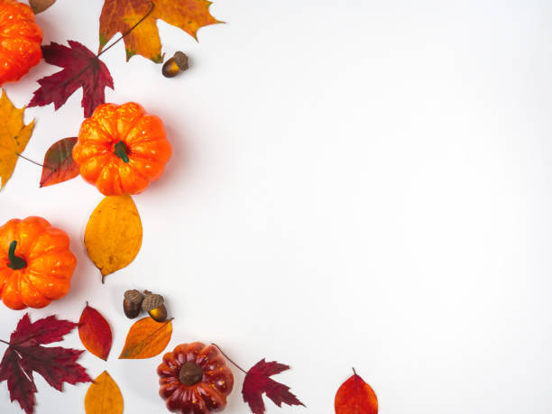 istock Leaves and pumpkins on a light background, view from above. Design for different purposes. 1432953808