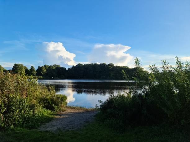 istock Beautiful landscape at a lake with a reflective water surface 1432954173