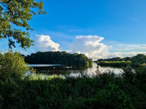 istock Beautiful landscape at a lake with a reflective water surface 1432954304