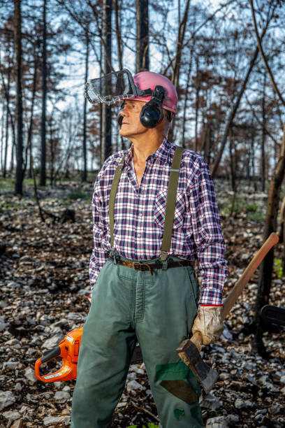 istock Senior lumberjack portrait in the devastated wood areas by wildfire 1432955982