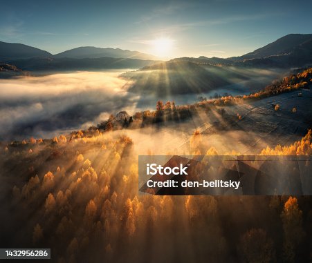istock Aerial view of beautiful orange trees on the hill and mountains in low clouds at sunrise in autumn in Ukraine. Colorful landscape with woods in fog, sunbeams, sky, forest at dawn in fall. Top view 1432956286