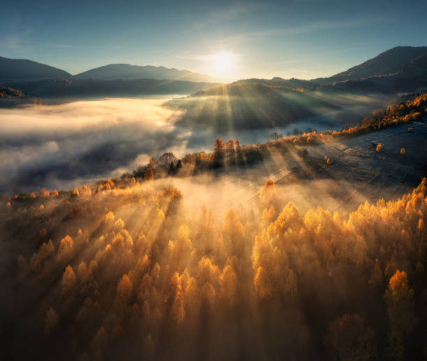 aerial view of beautiful orange trees on the hill and mountains in low clouds at sunrise in autumn in ukraine. colorful landscape with woods in fog, sunbeams, sky, forest at dawn in fall. top view - light beam fotos imagens e fotografias de stock