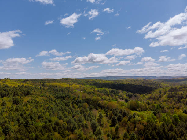 istock A forest in the mountains from a height, with clouds on the background sky 1432958231