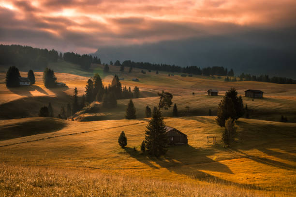 istock Sunrise on the mountain meadow in Dolomites 1432958447