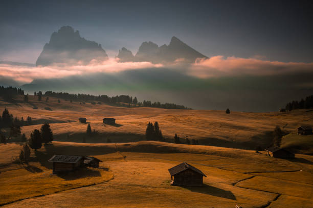 istock Sunrise on the mountain meadow in Dolomites 1432958738