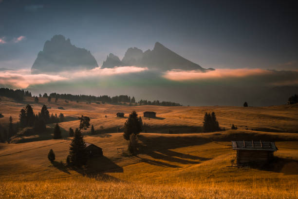 istock Sunrise on the mountain meadow in Dolomites 1432958756