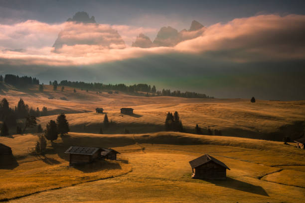 istock Sunrise on the mountain meadow in Dolomites 1432958877