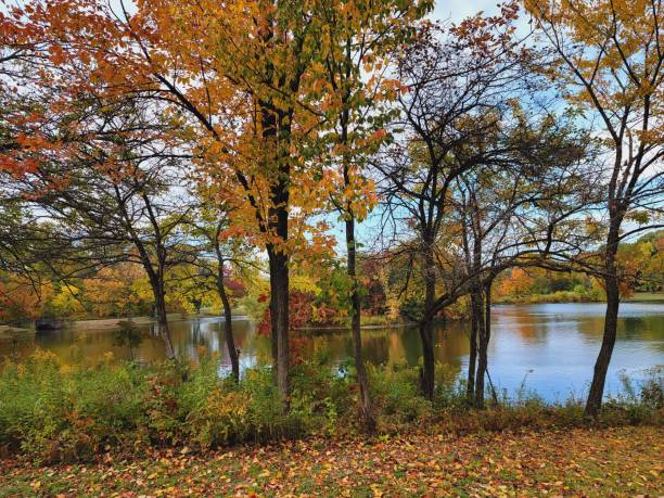 istock Colorful Autumn trees by tranquil lake 1432969184