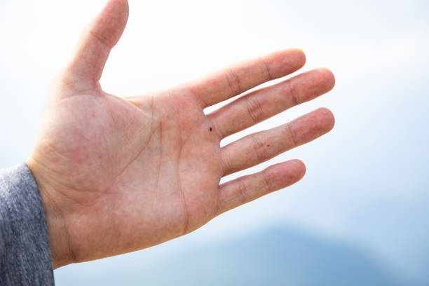 Palm of the hand image with selective focus
