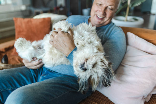 istock Senior Man Holding His Dog 1432973915