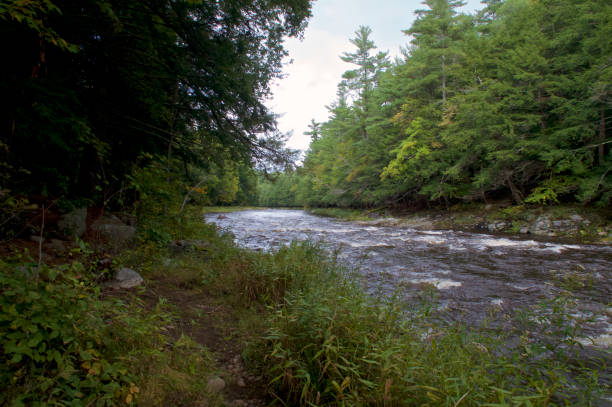 istock walking path beside au sable river in adirondack mountains 1432973950