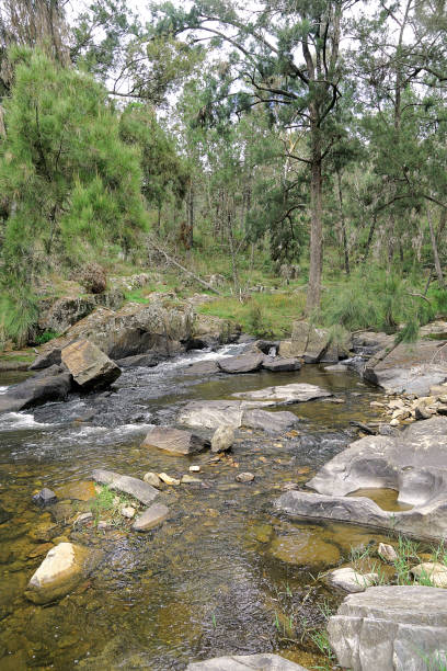 istock Orange,  New South Wales, Australia 1432974626