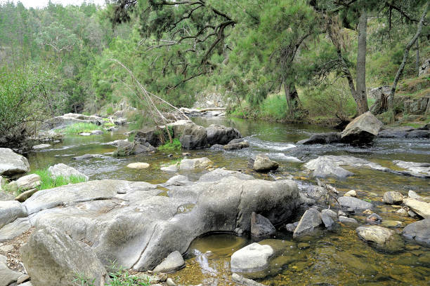istock Orange,  New South Wales, Australia 1432975131