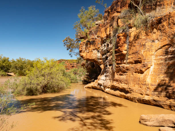 istock Kalbarri National Park river in flood 1432977118