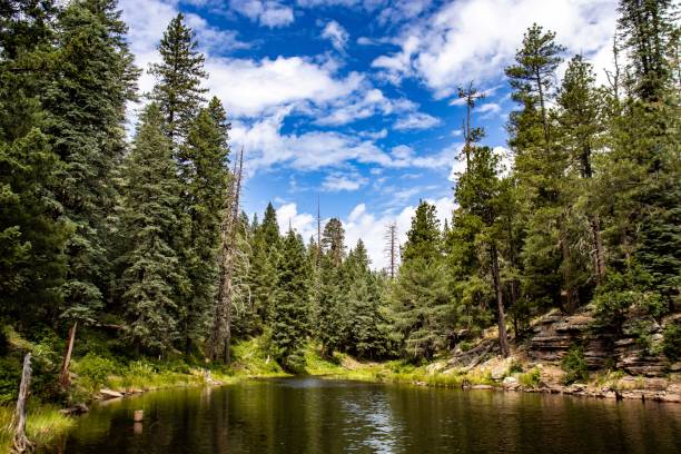 istock Woods Canyon Lake, Arizona 1432977261