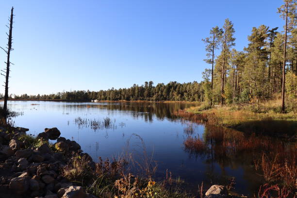 istock Woodland Lake 1432977456