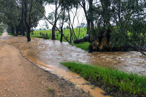 istock Country road flooding 1432979939